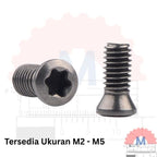 Baut Insert Holder Bubut & Milling M2 – M5 (Torx Star Screw)