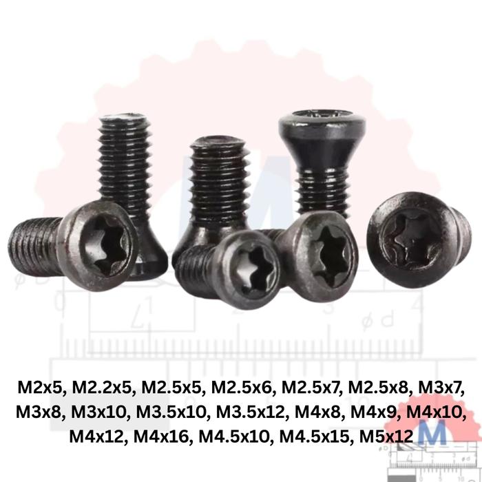Baut Insert Holder Bubut & Milling M2 – M5 (Torx Star Screw)